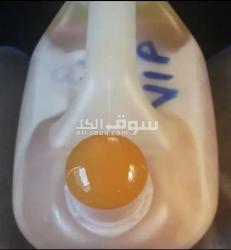 عسل سدر يمني ملكي حضرمي وعصيمي دواء لكل داء مناسب جدا لمرضى السكر - 2
