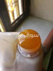 عسل سدر يمني ملكي حضرمي وعصيمي دواء لكل داء مناسب جدا لمرضى السكر - 9