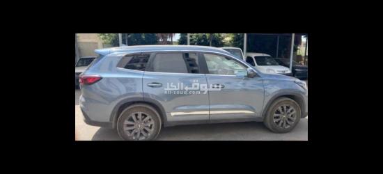 شير تيجو Luxury 8البيع - 4