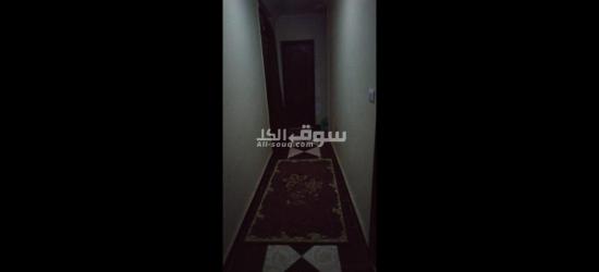 شقه لقطه للايجار - 4