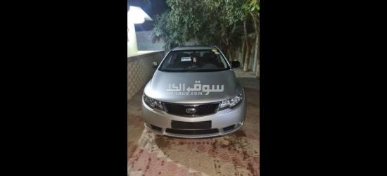 الفيوم مركز طامية - 2