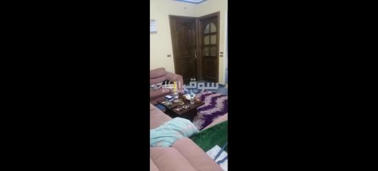 ٣٣ب ش الشيخ البابلى حدائق القبة - 9
