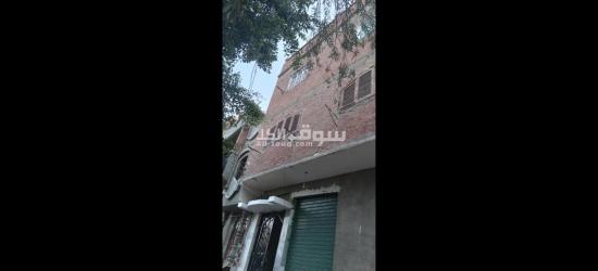 الفيوم الصيفيه الجديده خلف مخبز ابو ياسر حجاج - 3