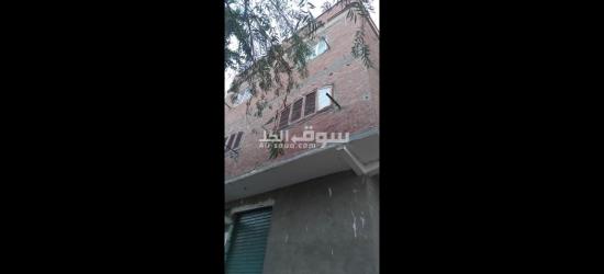 الفيوم الصيفيه الجديده خلف مخبز ابو ياسر حجاج - 4