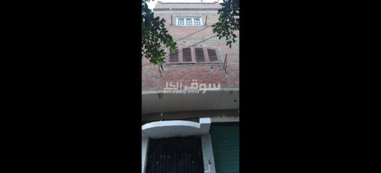 الفيوم الصيفيه الجديده خلف مخبز ابو ياسر حجاج - 8