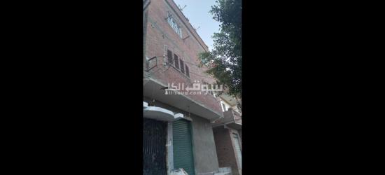 الفيوم الصيفيه الجديده خلف مخبز ابو ياسر حجاج - 9