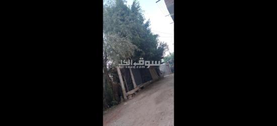 الفيوم الصيفيه الجديده خلف مخبز ابو ياسر حجاج - 10