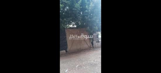 الفيوم الصيفيه الجديده خلف مخبز ابو ياسر حجاج - 13