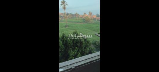الفيوم الصيفيه الجديده خلف مخبز ابو ياسر حجاج - 20