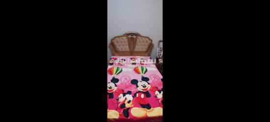 الإسكندرية العامرية العروه مسجد عمر ابن الخطاب - 5