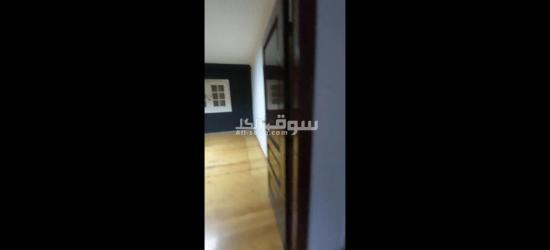 شقه للبيع بالدقي بشارع متميز - 4