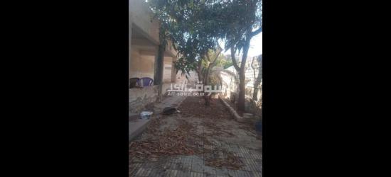 أرض للبيع في اسكندرية العجمي ابو يوسف - 2