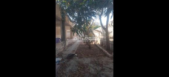 أرض للبيع في اسكندرية العجمي ابو يوسف - 3