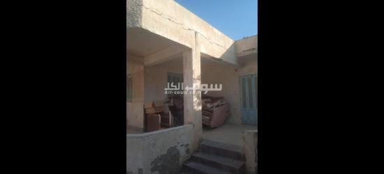 أرض للبيع في اسكندرية العجمي ابو يوسف - 4