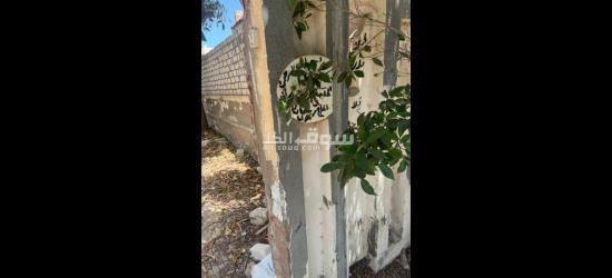 أرض للبيع في اسكندرية العجمي ابو يوسف - 6