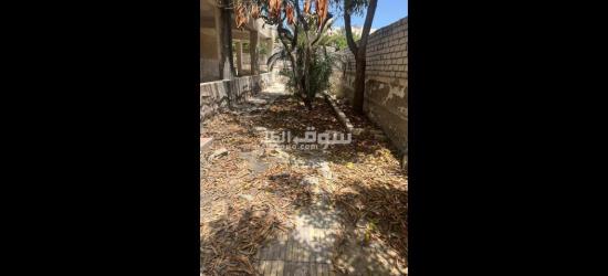 أرض للبيع في اسكندرية العجمي ابو يوسف - 12