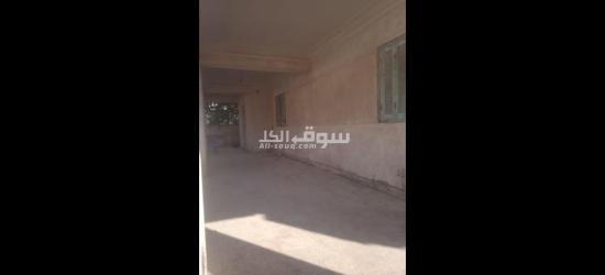 أرض للبيع في اسكندرية العجمي ابو يوسف - 17