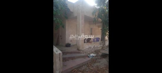أرض للبيع في اسكندرية العجمي ابو يوسف - 18
