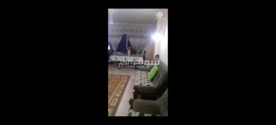 ش أبوزيد من العشرين من فيصل - 11