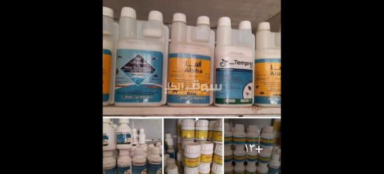 شركة مكافحة حشرات