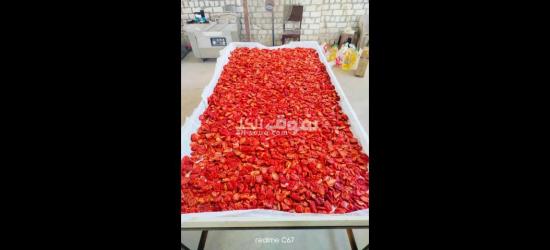 مصنع لتجفيف الطماطم والبصل - 2