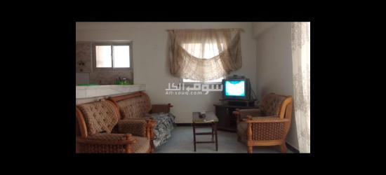شقه للايجار اليومي ٣٥٠ج بشاطيء النخيل - 3