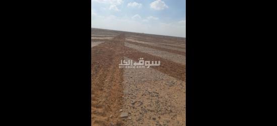 محافظة البحيرة وادى النطرون طريق العدالة تفرع دير الشهيد مار جرجس
