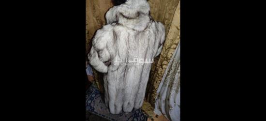 بالطو فرير للبيع مستورد من فرنسا نوع الفرو فوكس بريميم قابل للفصال - 10