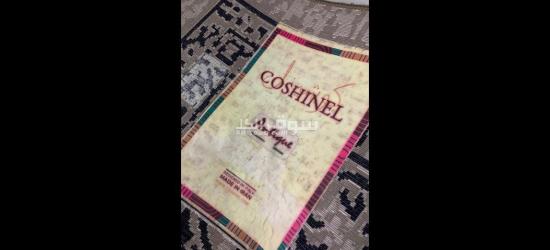 دسوق كفر الشيخ - 8