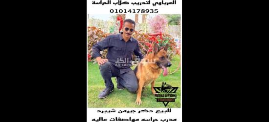 معالجة سلوكيات غير مرغوب فيها ت - 3