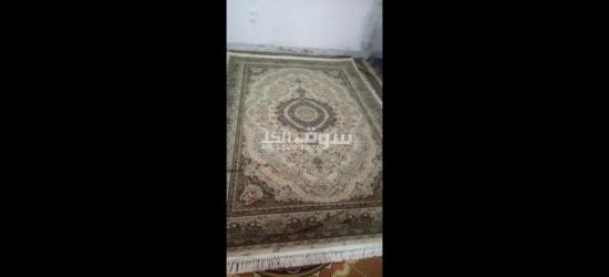 سجادتين النساجون الشرقيون - 2