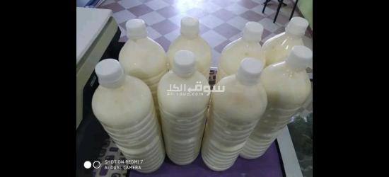 مصنع البان وجبنه