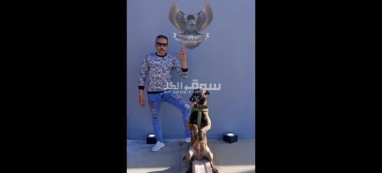 تدريب كلاب البحث والتفتيش للشركات والمؤسسات - 5