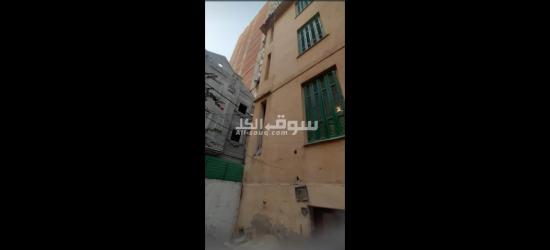 كامب شيزار - 2
