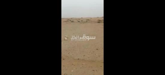 مدينه العبور الجديده بالقادسيه - 2