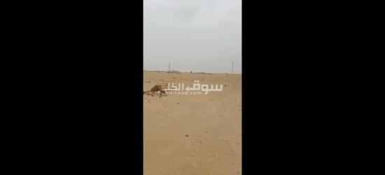 مدينه العبور الجديده بالقادسيه - 5