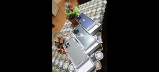 السعر ايه والجوده ايه اديلو ايدي - 2