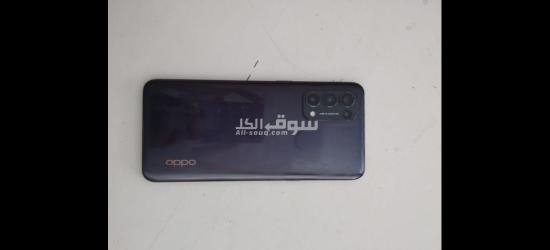 ابيار كفر الزيات - 3