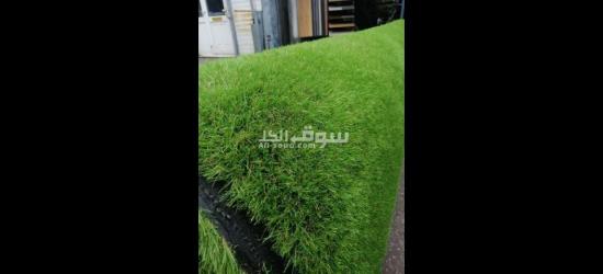 نجيلة صناعى باقل الاسعار ولاند سكيب تركي وهولاندى - 3