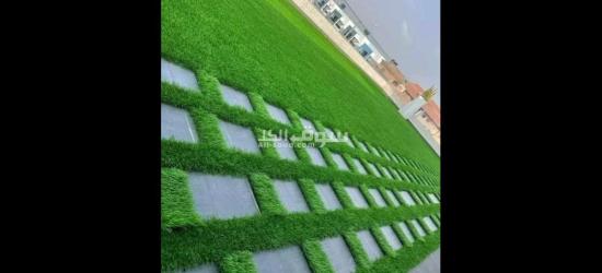 نجيلة صناعى باقل الاسعار ولاند سكيب تركي وهولاندى - 4