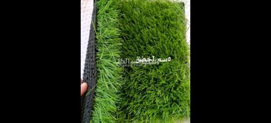 نجيلة صناعى باقل الاسعار ولاند سكيب تركي وهولاندى - 6