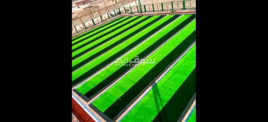 نجيلة صناعى باقل الاسعار ولاند سكيب تركي وهولاندى - 8