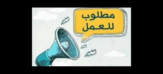 مطلوب عمال تغليف وتعبئة