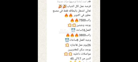 عاجل مطلوب عامل لمصنع الجبنه وألبان تعبئة وتغليف في اكتوبر - 6