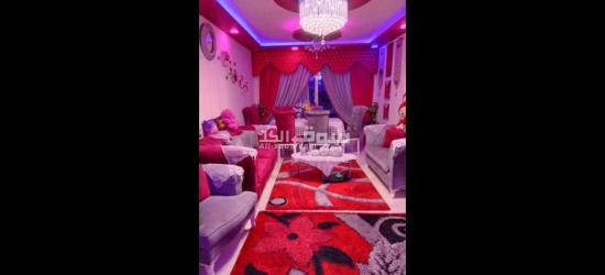 شقه بالفرش للبيع - 4