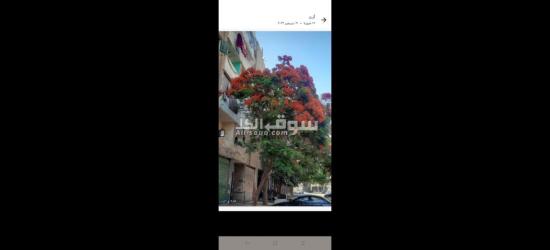 عمارات صقر قريش الحى العاشر مدينه نصر - 13
