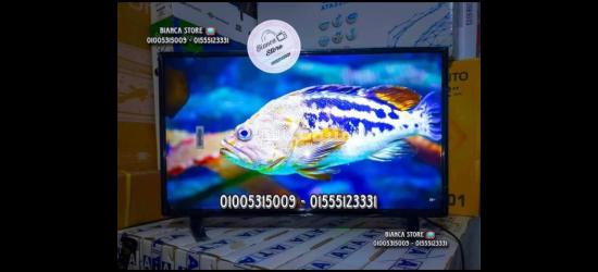 EG 32 Inch LED HD TV IPS EGLED-32DN4 - 3