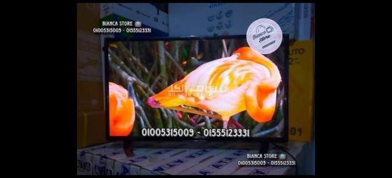 EG 32 Inch LED HD TV IPS EGLED-32DN4 - 4