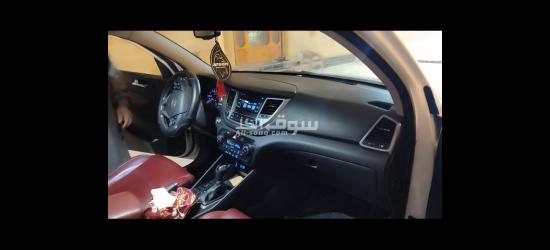 قطور الغربيه - 2