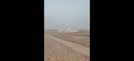 ربنا يبارك لصاحب النصيب